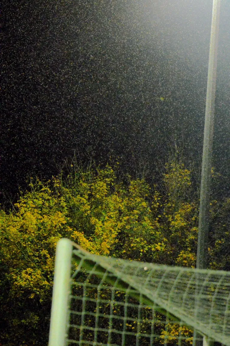 Photo 23 of 29, Needham Market vs Bury Town 22/10/2025